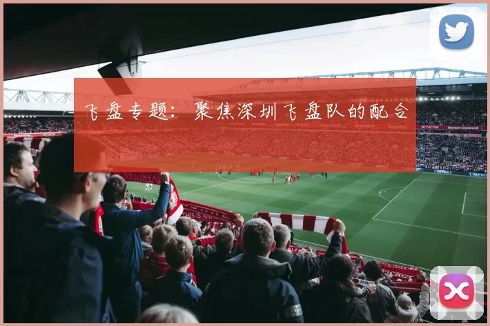 飞盘专题：聚焦深圳飞盘队的配合