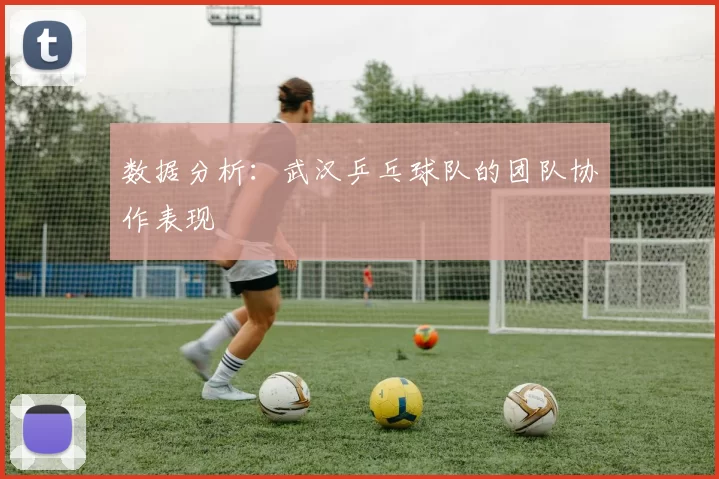 数据分析：武汉乒乓球队的团队协作表现