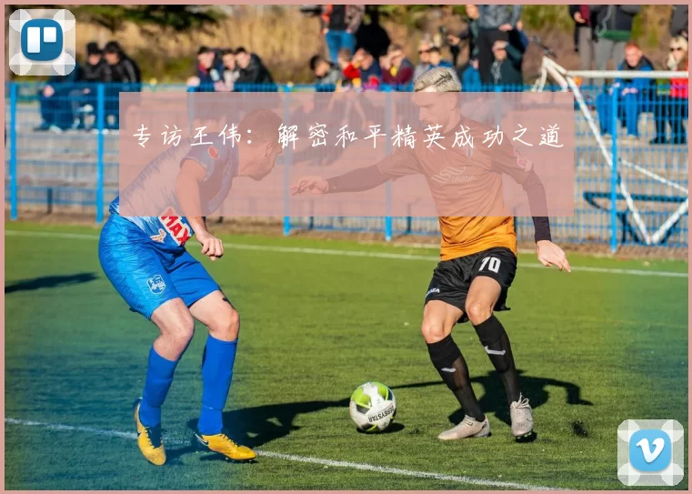 专访王伟：解密和平精英成功之道