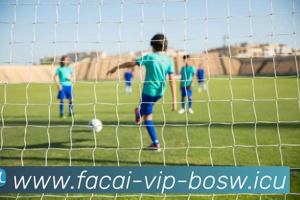 星空体育平台生态图