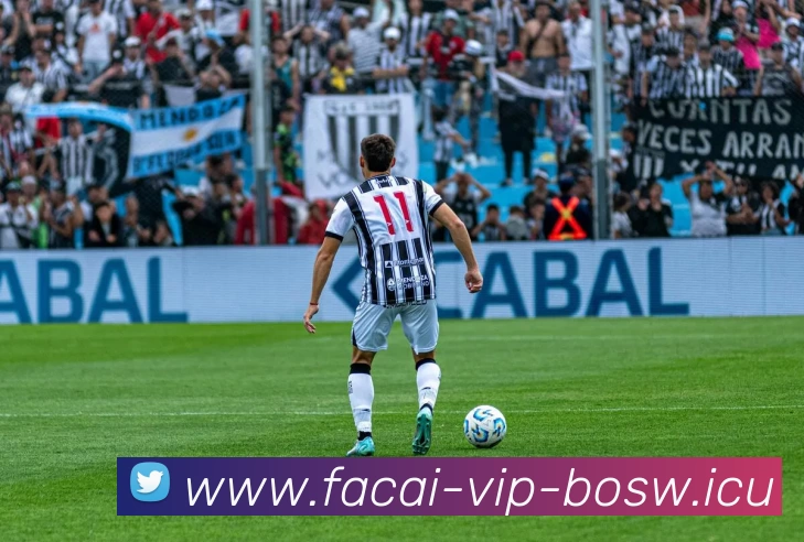 星空体育APP 封面图