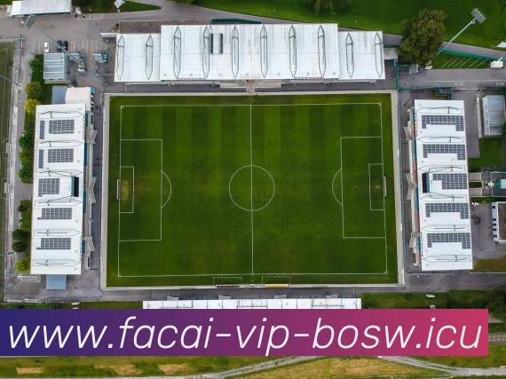 数据防护可视化